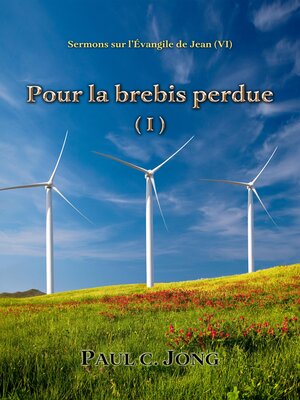 cover image of Pour la brebis perdue ( I ) -Sermons sur l'Évangile de Jean (Ⅵ)
